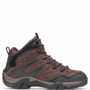 Brown Men Wolverine Wilderness Hiking Boots | AJV578WO