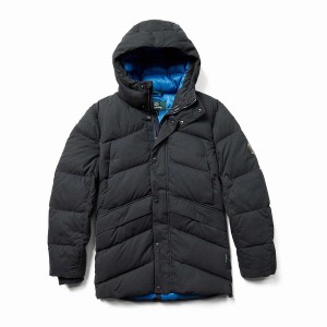 Dark Navy Men Wolverine Frost Down Parka Jackets | WOB2912IM