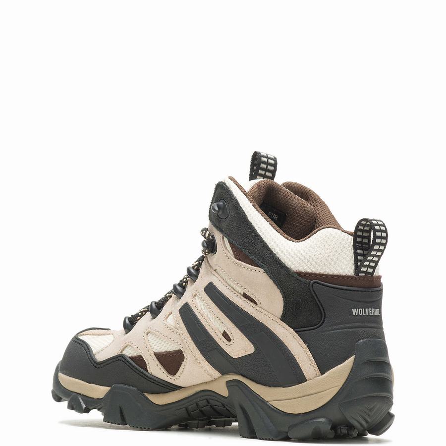 Beige Black Women Wolverine Wilderness Hiking Boots | HJA6335DG