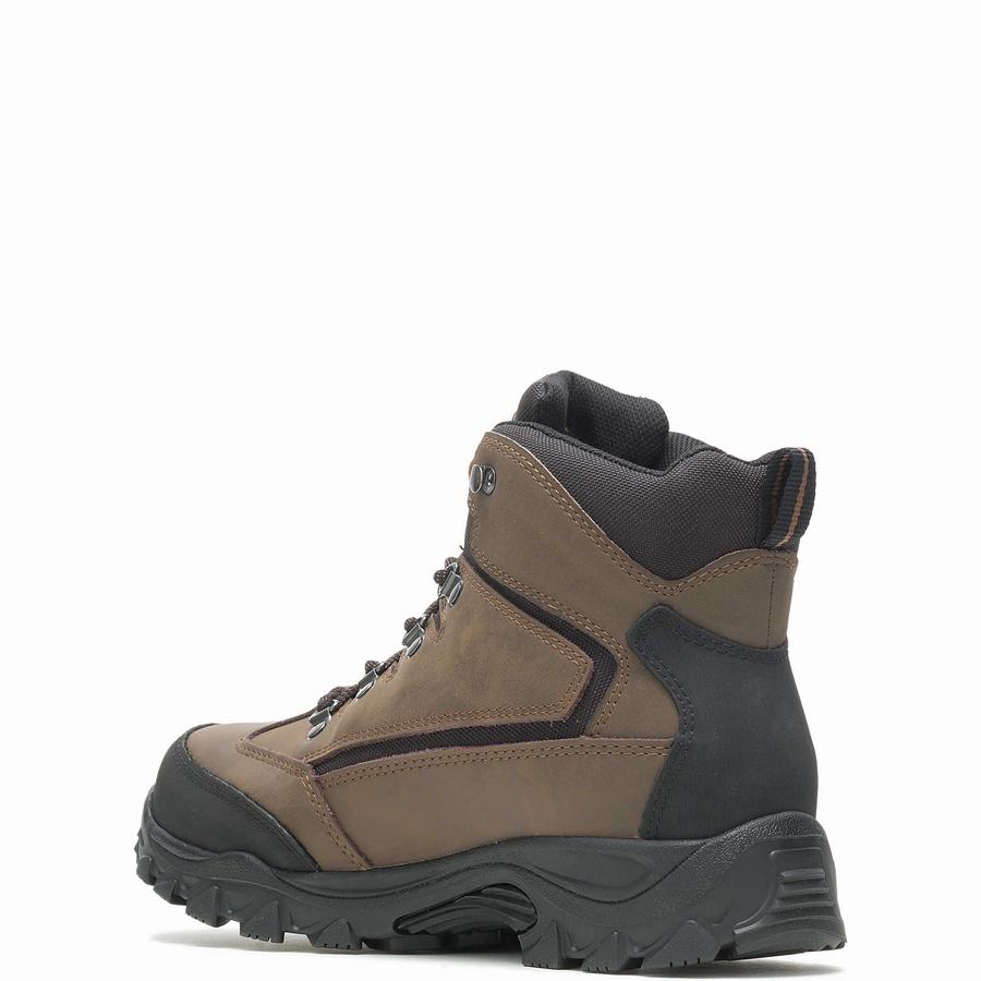 Brown Black Men Wolverine Spencer Waterproof Hiking Boots | GTG4373YN