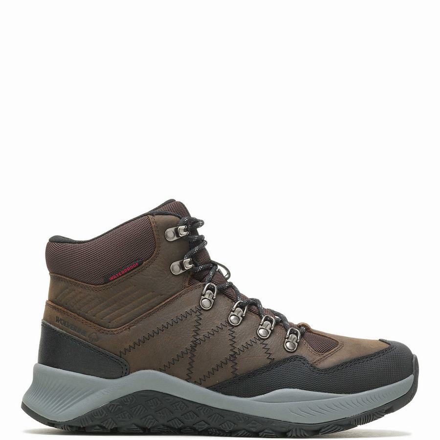 Brown Men Wolverine Luton Waterproof Hiking Boots | CAS2293YM