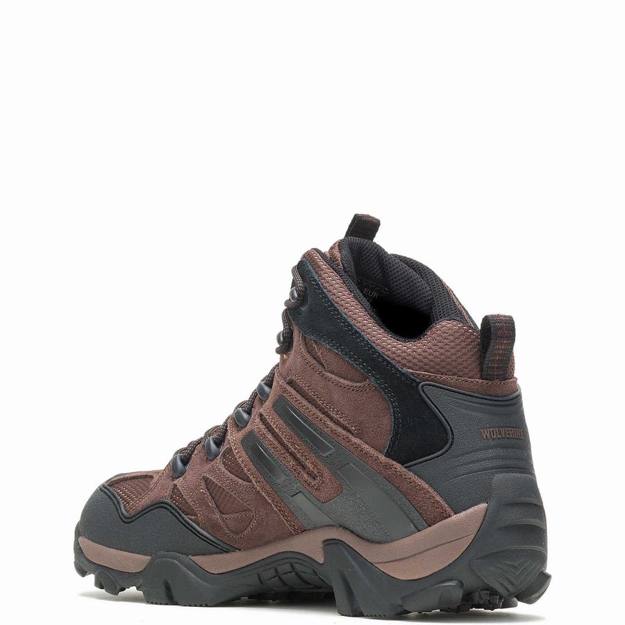 Brown Men Wolverine Wilderness Hiking Boots | AJV578WO